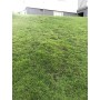 Штучна трава Аксесуари 1,00 грн.