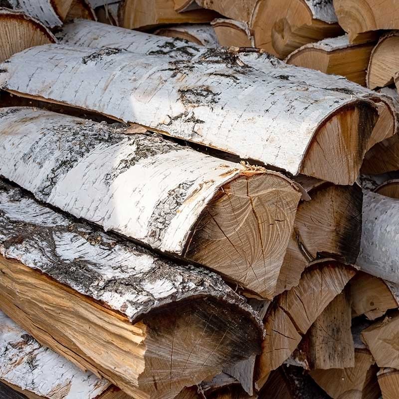 birch logs