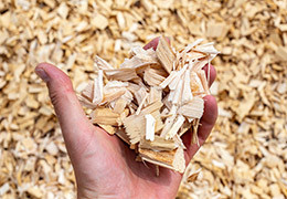 Wood chips: description, types, applications