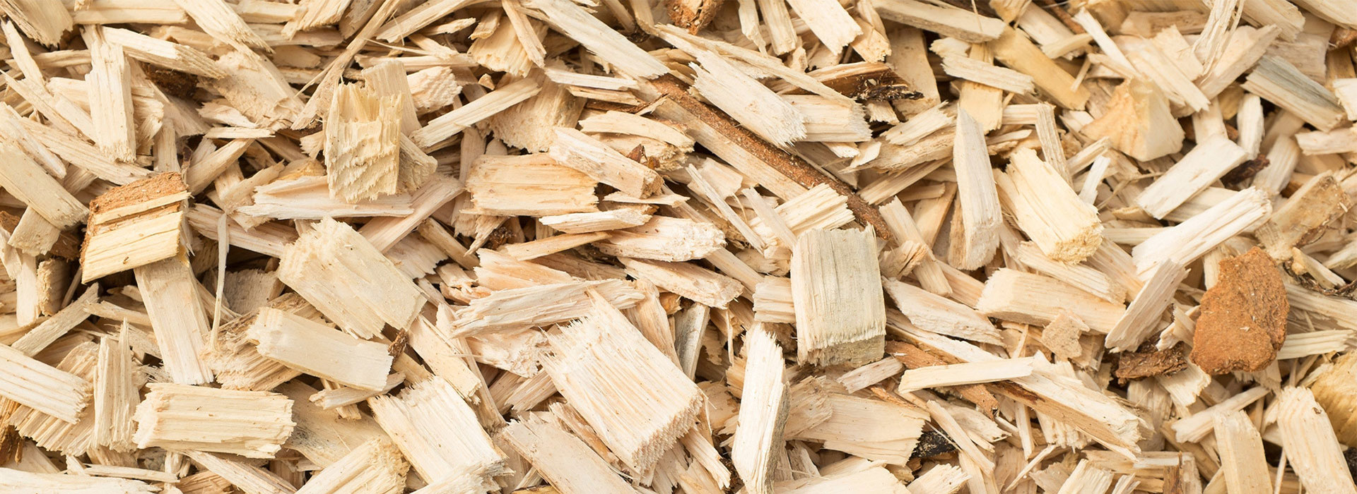 Тріска Тріска